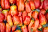 Tomates Cornue des Andes