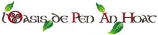 logo Oasis Pen an Hoat